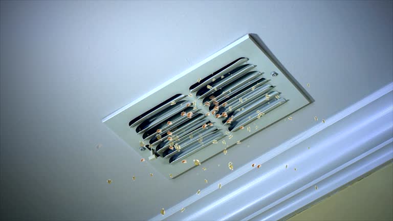 Best Ventilation Cleaning Services  in Rayre, MO