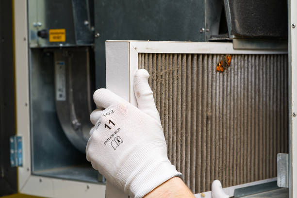 Best Residential Air Duct Cleaning  in Rayre, MO