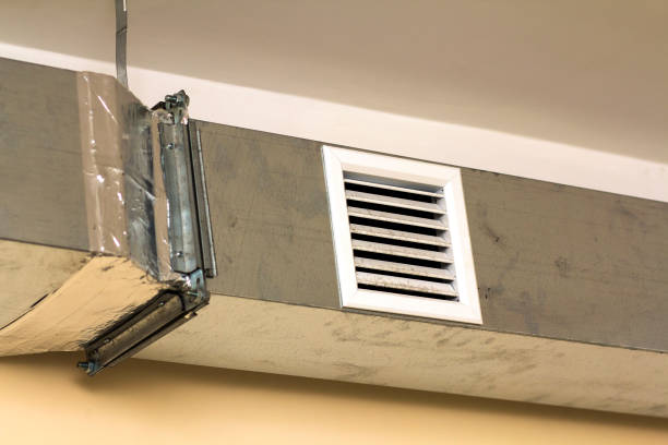 Best Duct Cleaning for Homes  in Rayre, MO